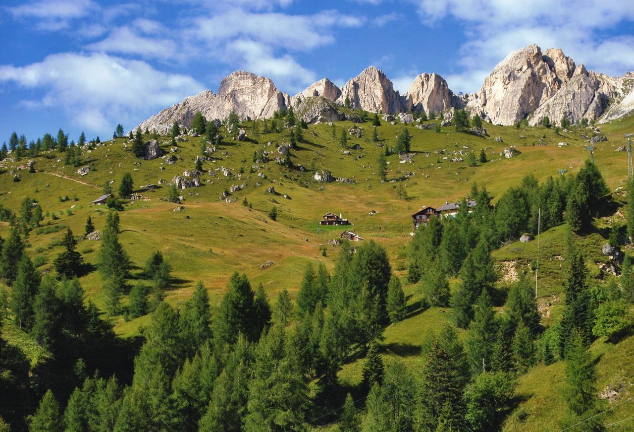 Hvad er de bedste hoteller i n\u00E6rheden af Museo Vittorino Cazzetta? Selva di Cadore Eksteriør billede